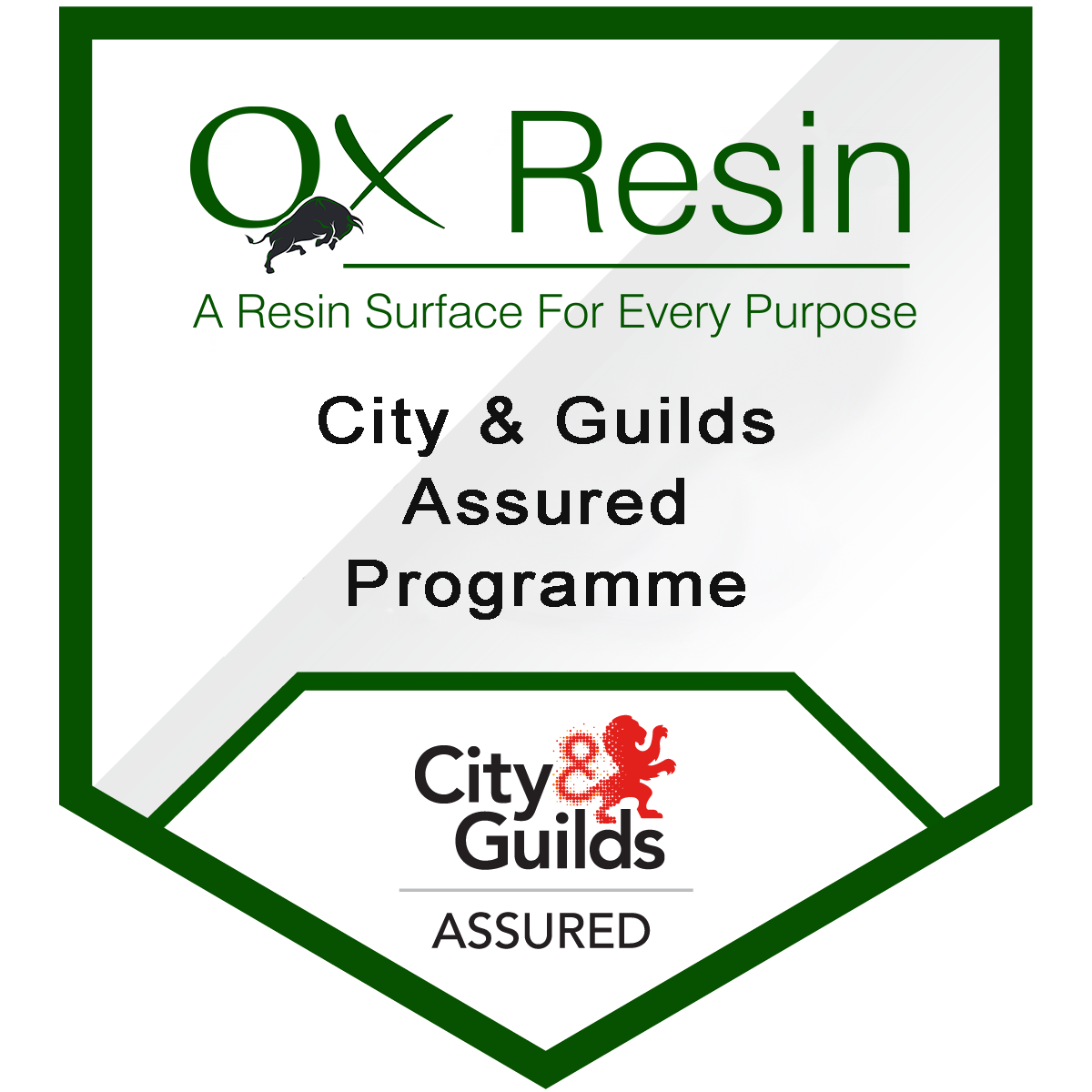 City and Guilds Assured Training Programme